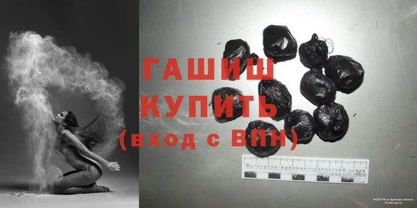 твердый Бородино