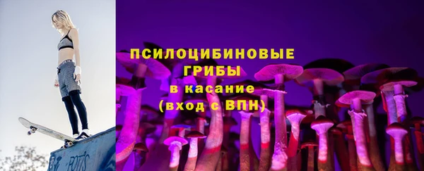 твердый Бородино