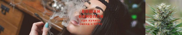 прущие грибы Бугульма